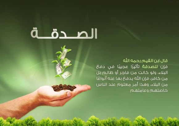 ابذر لك بذرة  واجعل لك في الإحسان مكان  بادر واترك أثرا ولو كان قليلا